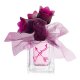 Vera Wang Lovestruck 100ml EDP Spray Ladies (EACH)