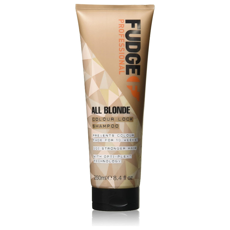 Fudge Professional All Blonde Colour Lock Shampoo (24 UNITS) - Click Image to Close